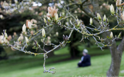 Finding Focus: Photography for Wellbeing