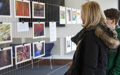 Finding Focus Exhibition – Museum in the Park,  Stroud